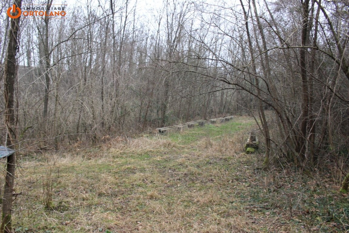 Foto 1 - Terreno agricolo Sagrado - foto 1