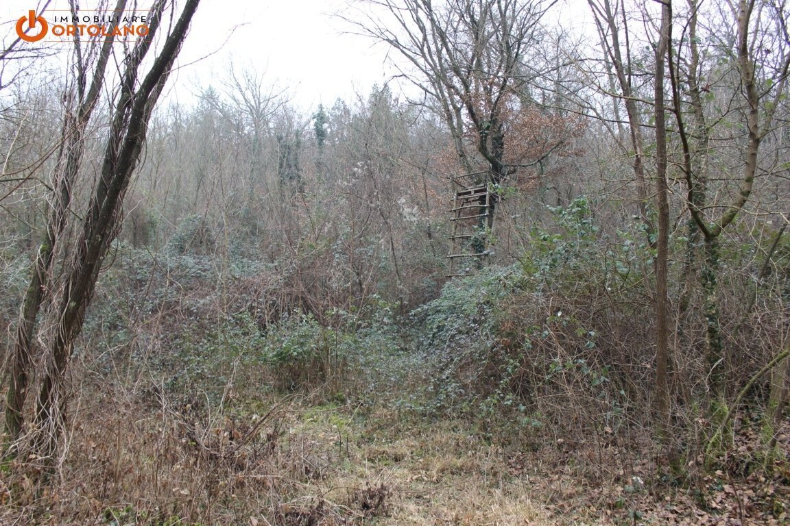 Foto 2 - Terreno agricolo Sagrado - foto 2