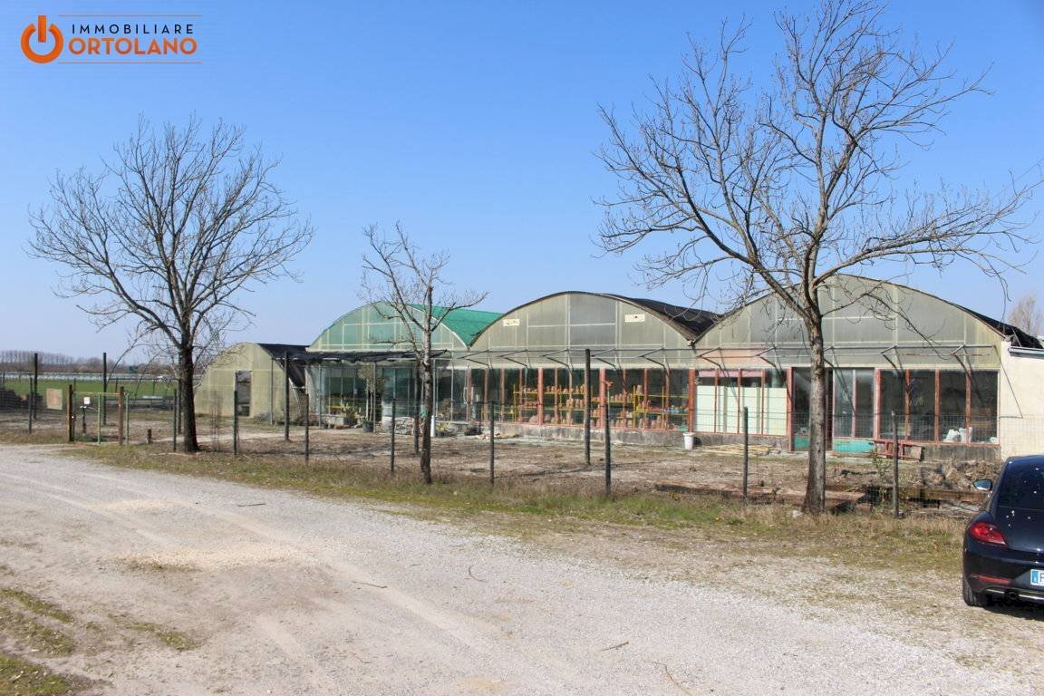 Foto 1 - Farm Romans d'Isonzo - photo 1