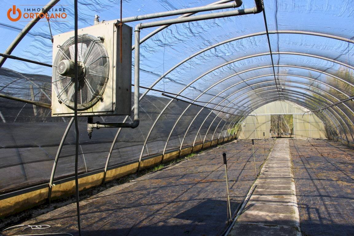 Foto 2 - Farm Romans d'Isonzo - photo 2