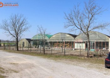 Foto 1 - Azienda agricola Romans d'Isonzo - foto 1