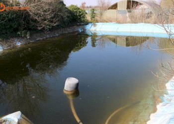 Foto 4 - Azienda agricola Romans d'Isonzo - foto 4