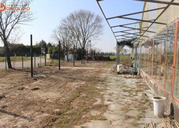 Foto 5 - Azienda agricola Romans d'Isonzo - foto 5