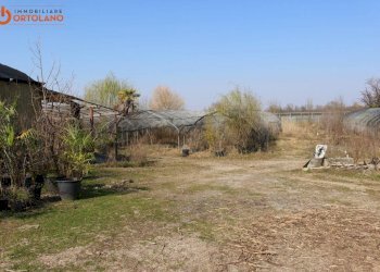 Foto 7 - Azienda agricola Romans d'Isonzo - foto 7