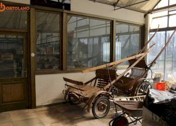 Foto 9 - Azienda agricola Romans d'Isonzo - foto 9