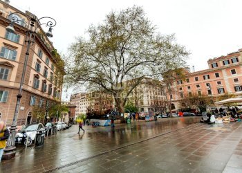 Foto 2 - Bilocale Via Natale Del Grande, Roma - foto 2