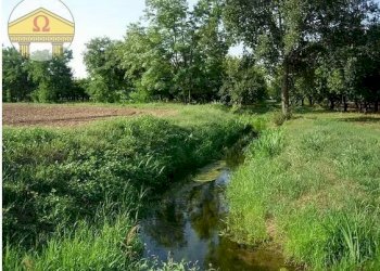 Foto 3 - Terreno agricolo Villorba - foto 3