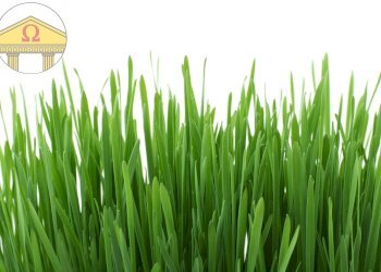 Foto 2 - Terreno edificabile Treviso - foto 2