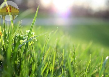 Foto 2 - Terreno edificabile Treviso - foto 2