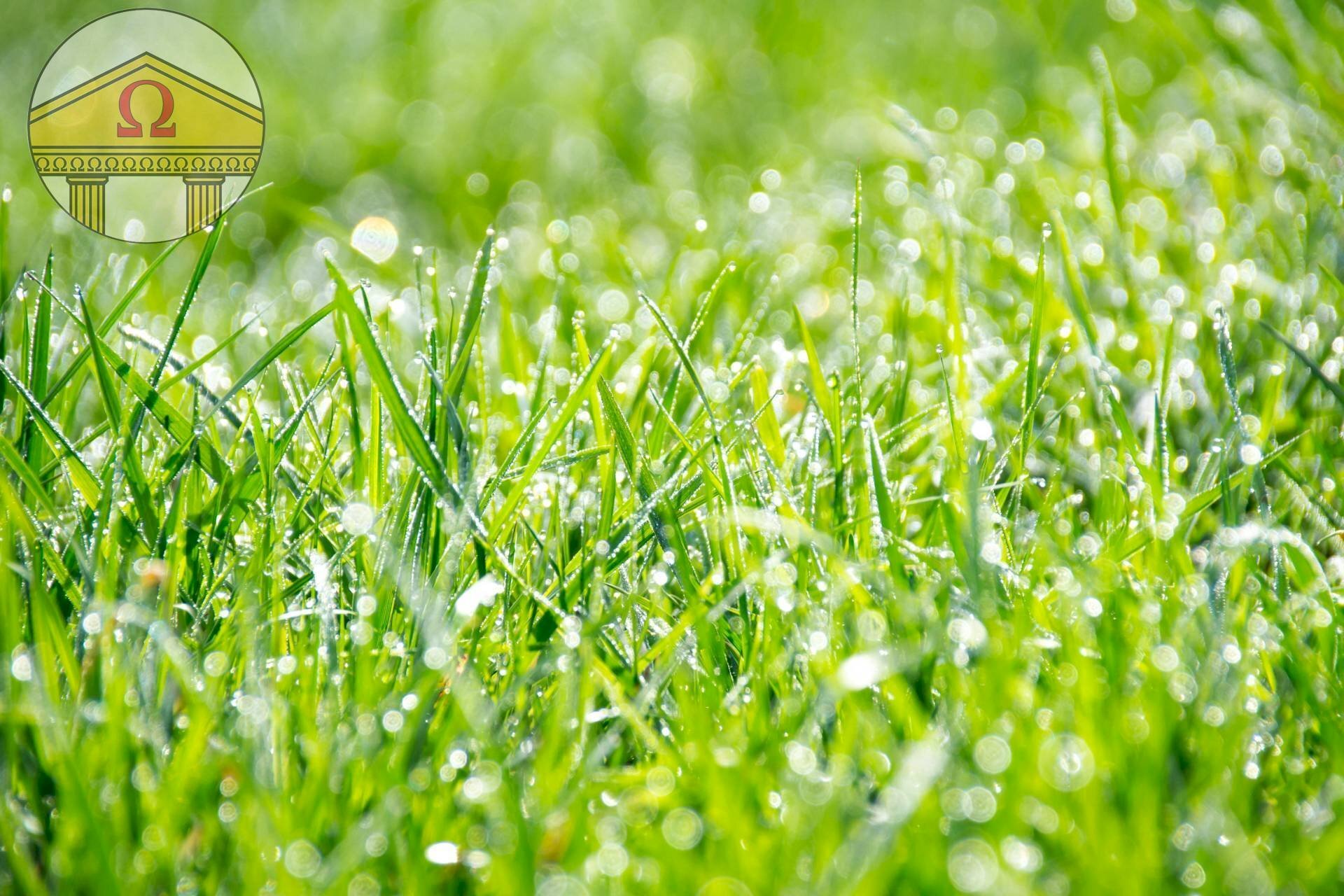 Foto 1 - Building land Treviso - photo 1