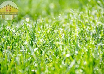 Foto 1 - Terreno edificabile Treviso - foto 1