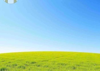 Foto 1 - Terreno edificabile Ponzano Veneto - foto 1