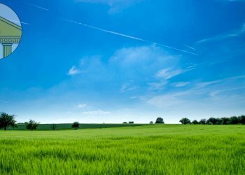 Foto 1 - Terreno agricolo Villorba - foto 1