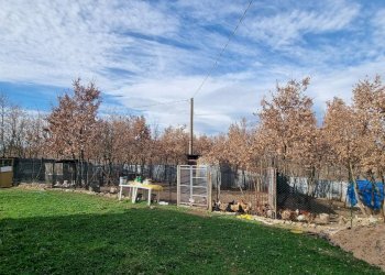 Foto 9 - Casa indipendente Strada Vicinale Terzi, San Nicola Baronia - foto 9