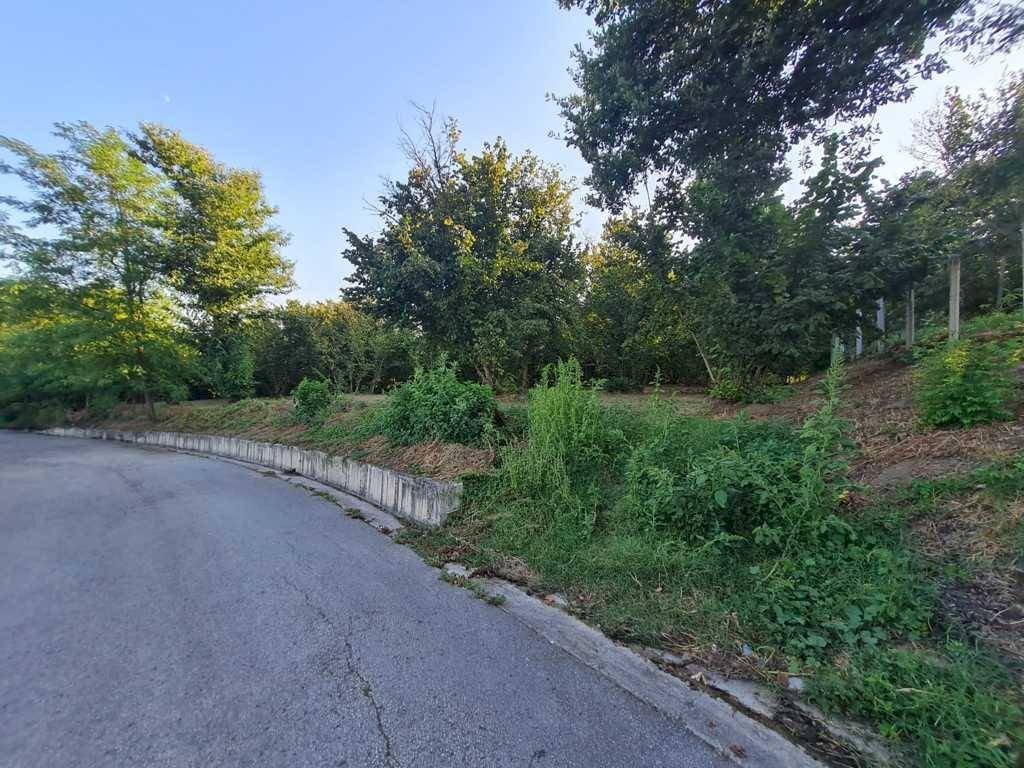 Foto 3 - Terreno agricolo contrada alimata, Montefredane - foto 3