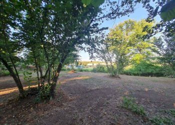 Foto 5 - Terreno agricolo contrada alimata, Montefredane - foto 5