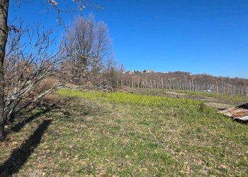 Foto 11 - Villa C/da Quercete, Montemarano - foto 11