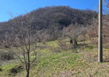 Foto 14 - Villa C/da Quercete, Montemarano - foto 14