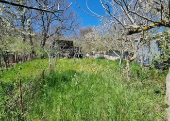 Foto 6 - Casa indipendente Contrada Cesine, Vallata - foto 6