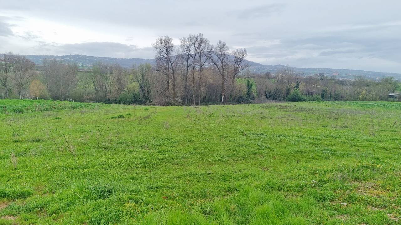 Foto 3 - Terreno agricolo SP281, Castel Baronia - foto 3