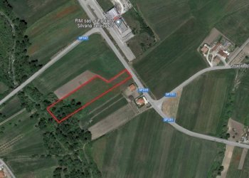 Foto 1 - Terreno agricolo SP281, Castel Baronia - foto 1