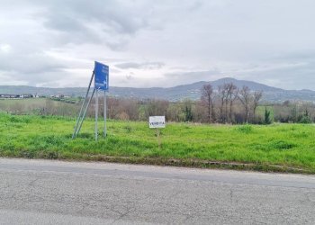 Foto 2 - Terreno agricolo SP281, Castel Baronia - foto 2