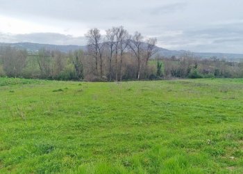 Foto 3 - Terreno agricolo SP281, Castel Baronia - foto 3