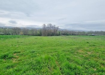 Foto 4 - Terreno agricolo SP281, Castel Baronia - foto 4