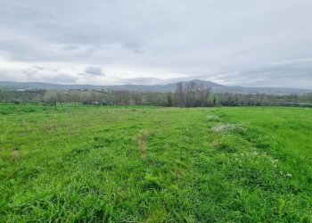 Foto 6 - Terreno agricolo SP281, Castel Baronia - foto 6