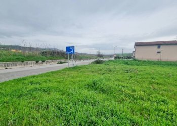 Foto 7 - Terreno agricolo SP281, Castel Baronia - foto 7