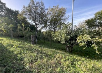 Foto 7 - Casa indipendente Contrada Ischiti
 
4, San Potito Ultra - foto 7