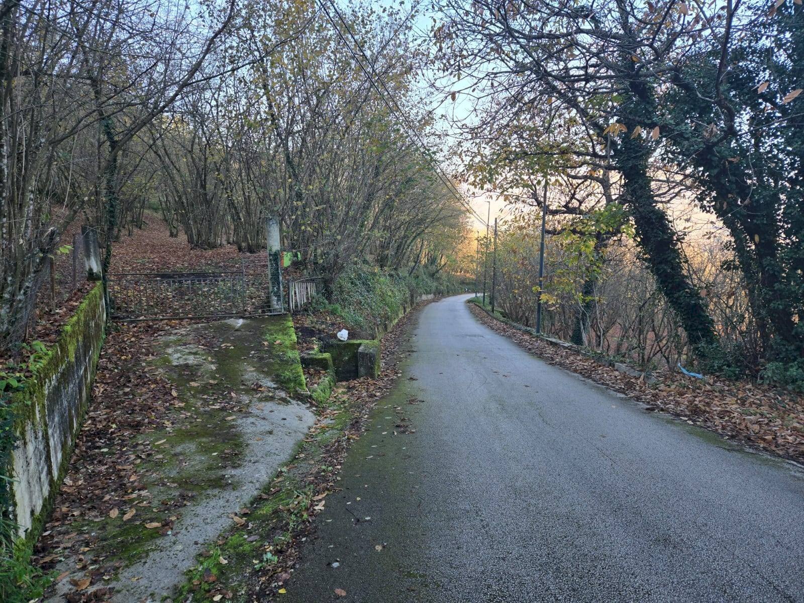 Foto 3 - Terreno agricolo Via san prisco, Manocalzati - foto 3