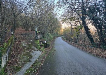 Foto 3 - Terreno agricolo Via san prisco, Manocalzati - foto 3