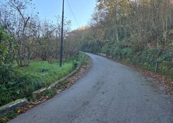 Foto 4 - Terreno agricolo Via san prisco, Manocalzati - foto 4