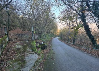 Foto 5 - Terreno agricolo Via san prisco, Manocalzati - foto 5