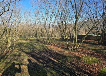 Foto 8 - Terreno agricolo Via san prisco, Manocalzati - foto 8