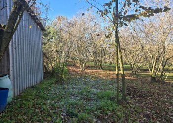 Foto 12 - Terreno agricolo Via san prisco, Manocalzati - foto 12