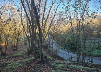 Foto 13 - Terreno agricolo Via san prisco, Manocalzati - foto 13