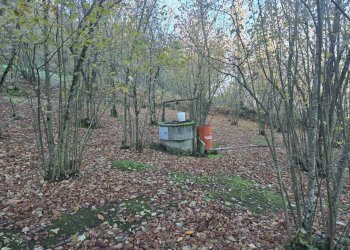 Foto 16 - Terreno agricolo Via san prisco, Manocalzati - foto 16