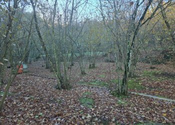 Foto 17 - Terreno agricolo Via san prisco, Manocalzati - foto 17