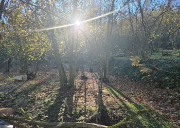 Foto 18 - Terreno agricolo Via san prisco, Manocalzati - foto 18