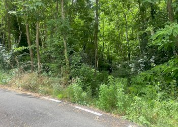 Foto 22 - Villa Cupa Lauri, Atripalda - photo 22