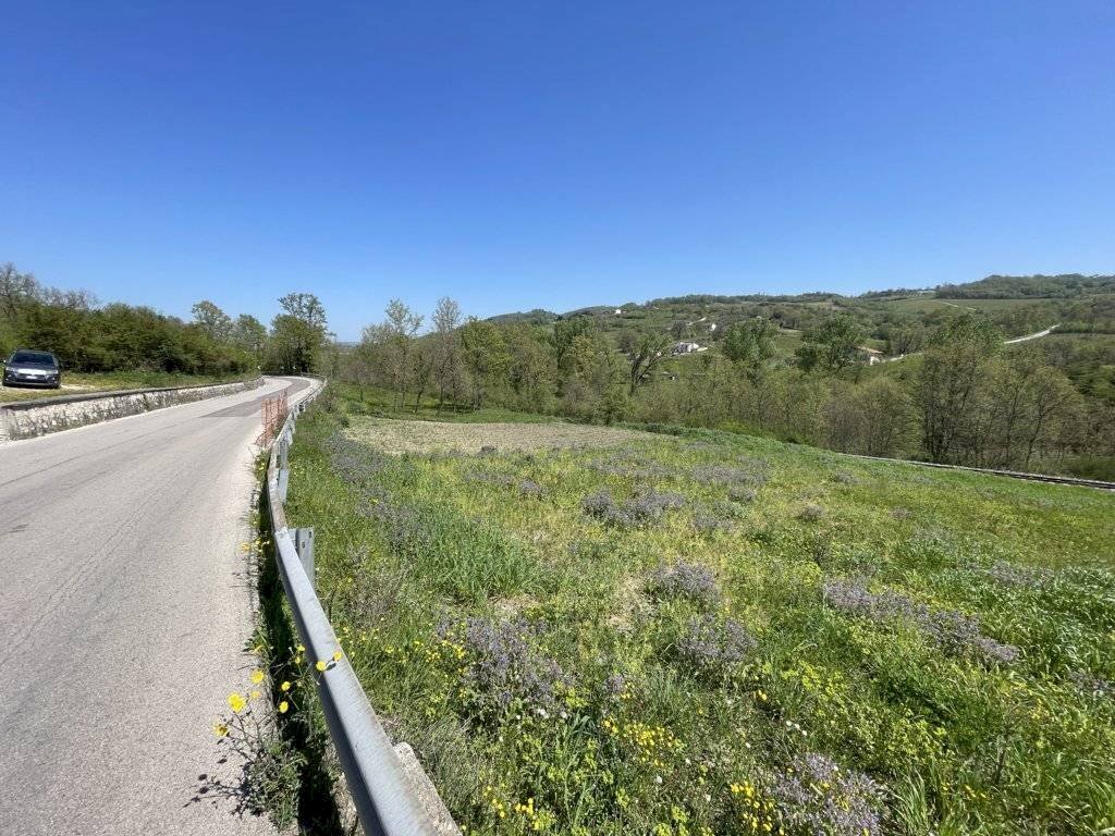 Foto 2 - Terreno agricolo Casa Arsa, Montemarano - foto 2