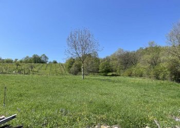 Foto 9 - Terreno agricolo Casa Arsa, Montemarano - foto 9