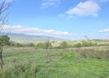 Foto 1 - Terreno agricolo C/da chianola, Nusco - foto 1