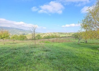 Foto 3 - Terreno agricolo C/da chianola, Nusco - foto 3