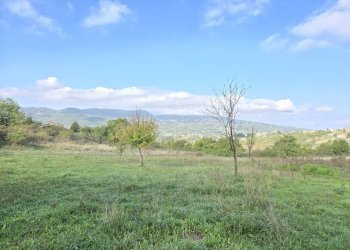 Foto 4 - Terreno agricolo C/da chianola, Nusco - foto 4