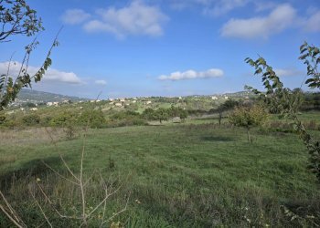 Foto 5 - Terreno agricolo C/da chianola, Nusco - foto 5