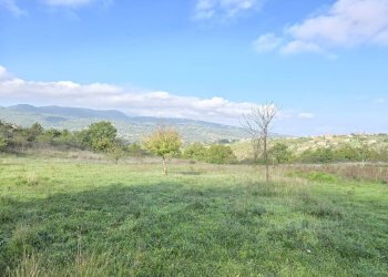 Foto 6 - Terreno agricolo C/da chianola, Nusco - foto 6