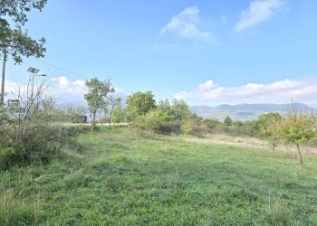 Foto 7 - Terreno agricolo C/da chianola, Nusco - foto 7